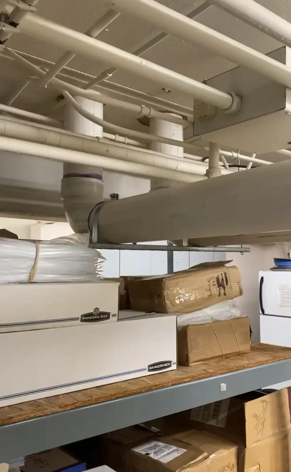 Overhead drain and supply lines in a commercial ceiling above storage shelving